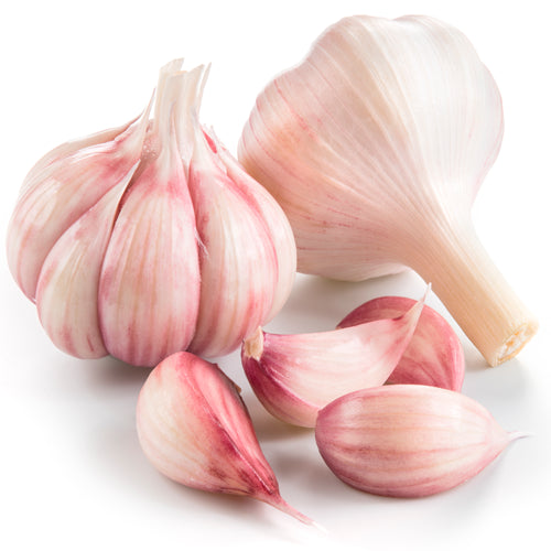Garlic - Garlex raw cold pressed fermented garlic oil
