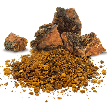 ChagaMilk Drink Mix (Chaga)