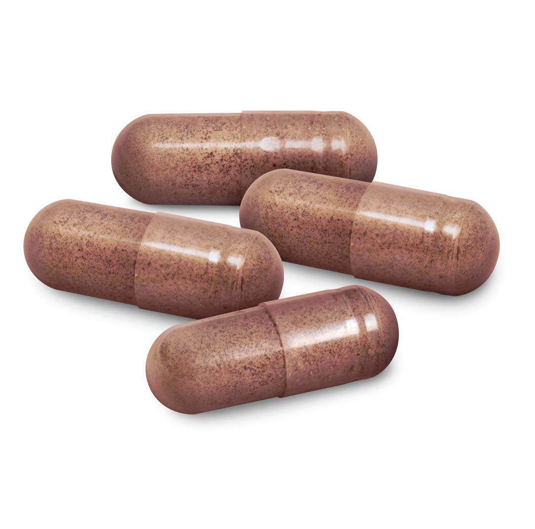 Chaga Max capsules