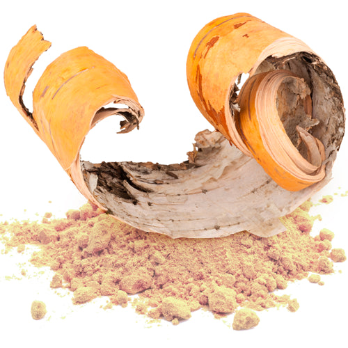 Chaga Max capsules